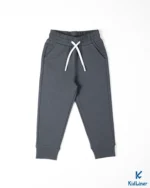 Iron Gray Sweatpants